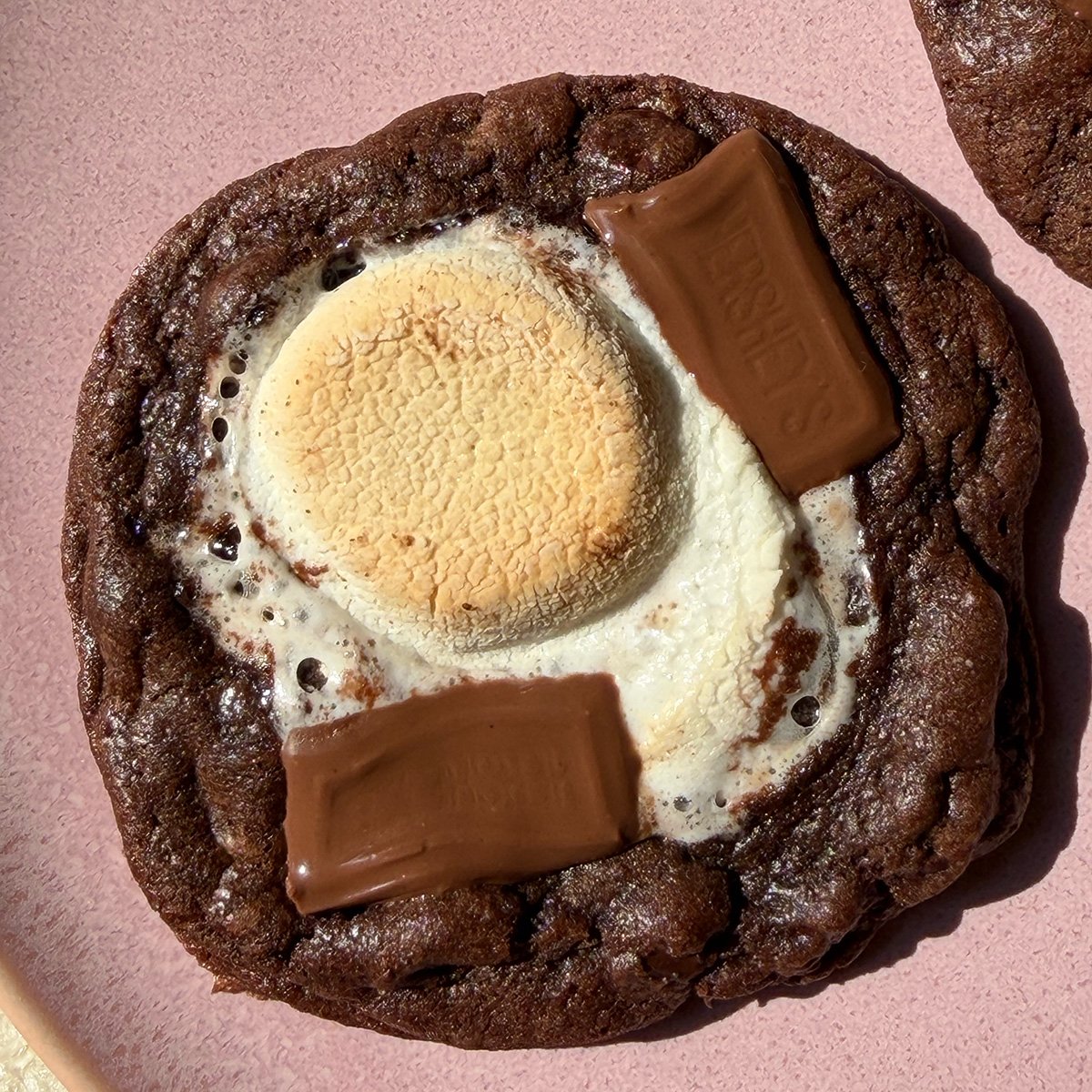 SmoreCookie-1